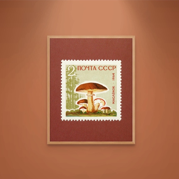 Soviet Union Mushroom, Vintage Mushroom Print, Slippery Jack Mushroom, Sticky Bun Mushroom, Mushroom Art, 1964 Stamp - Museum-Quality Print
