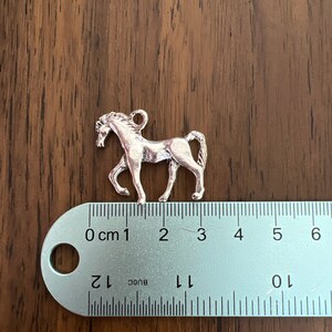 May include: Silver horse charm pendant measuring approximately 3 cm in length. The charm is detailed with a horse's head, mane, and tail.