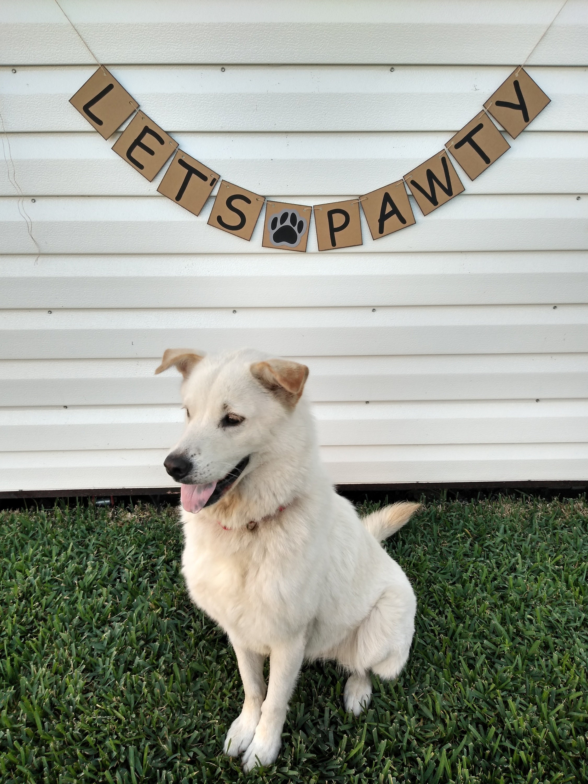 pet-banner-dog-birthday-banner-cat-birthday-banner-pet-etsy