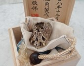 Scaly Cracked Head Skull Japanese Art Sculpture(Not Netsuke) Deer Antler Carving with box-set signed 髑髏作家服部 髑髏彫刻 無窮