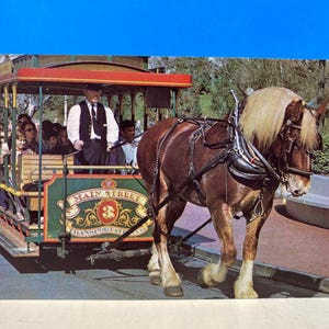 Carte postale tramway tiré par des chevaux de Walt Disney World