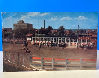 Calgary Stampede Rodei Alberta Canada Postcard