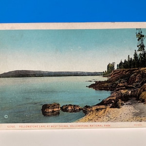 Carte postale de pouce occidental de lac de Yellowstone