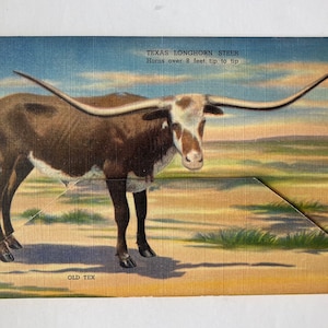 Beroemde Buckhorn Curio Store Mailer