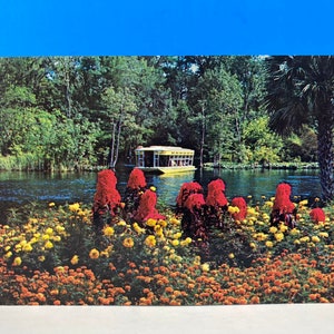 Floridas Silver Springs Silver River Postkarte
