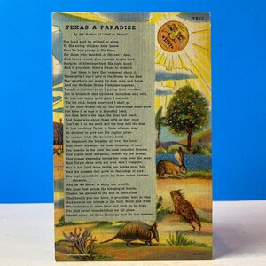 Cartão Postal Texas Um Paraíso