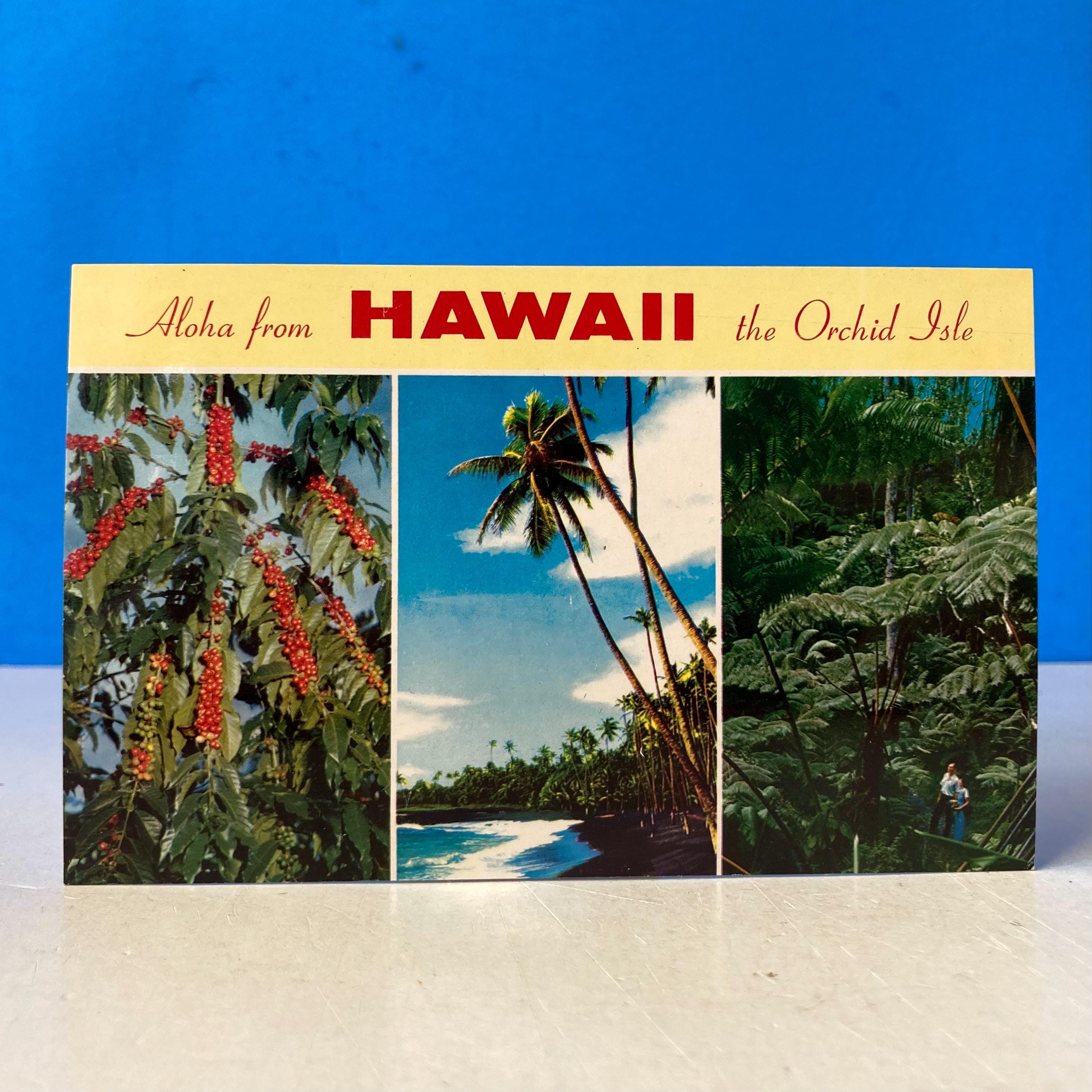Hawaii vintage postcard - Etsy 日本