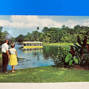 Floridas Silver Springs New Fleet Postkarte