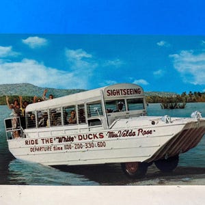 Cartão postal do pato anfíbio do Lago Hamilton