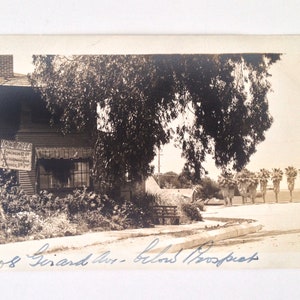 Cartão Postal Restaurante Lone Tree La Jolla RPPC