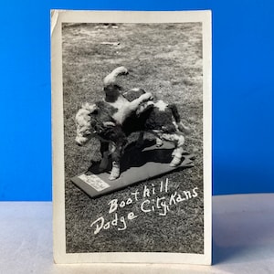Cartão Postal 8 Leg Calf Boothill Dodge City RPPC