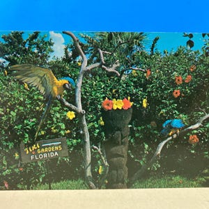 Carte postale Jardins Tiki