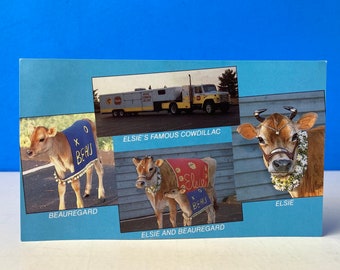 Elsie's Famous Cowdillac Postcard