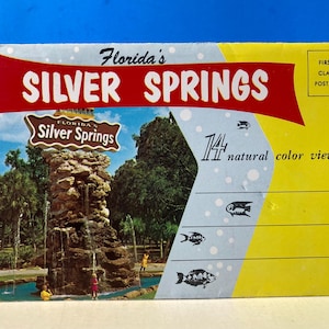 Expédition Silver Springs en Floride