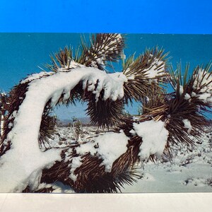 Carte postale Un sort glacial