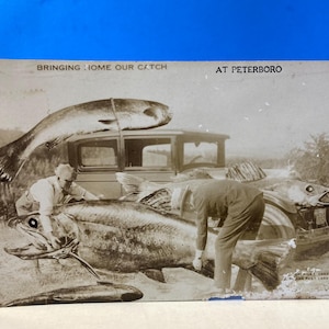 May include: Vintage black and white postcard featuring a large catch of fish. Two men are shown with several large fish, including one on top of a car. Text reads "Bringing Home Our Catch At Peterborough."