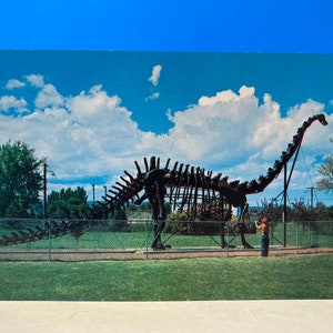 Zement Replica Diplodocus Postkarte Utah