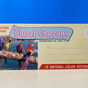 Busch Gardens-fotomailer