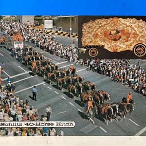 Tarjeta de enganche para caballos Schlitz de 40 caballos para desfile de circo