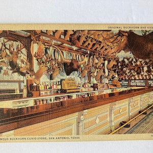 Berühmte Buckhorn Curio Store San Antonio Postkarte