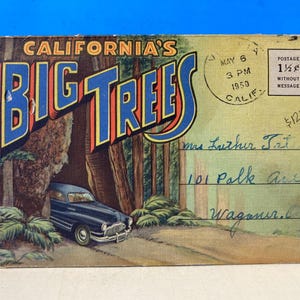 Pochette souvenir Grands arbres de Californie