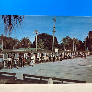 Cartão postal do Florida Shuffleboard