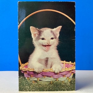 Gatito en una canasta Postal