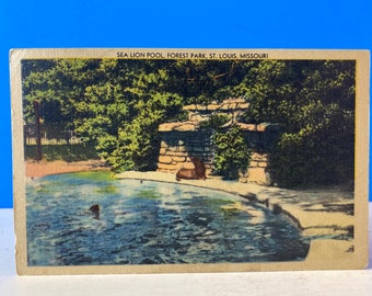 Sea Lion Pool Forest Park St. Louis Linen Postcard