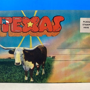 Texas Scenes-mailer