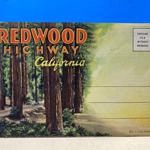 Dossier souvenir Redwood Highway California