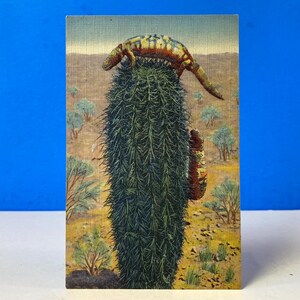 Carte postale en lin Monsters & Barrel Cactus de Gila