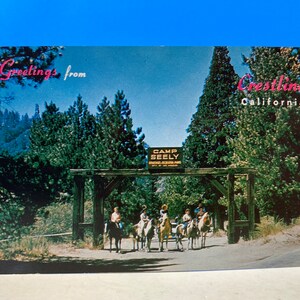 Camp Seely CA Postcard