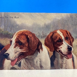 Carte postale Chiens prêts à courir