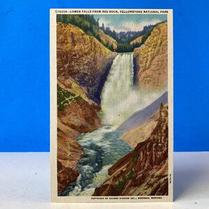 Carte Postale Parc de Yellowstone à Lower Falls