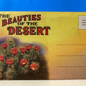 May include: A vintage postcard depicting a desert landscape with a cactus and red flowers. The text "THE BEAUTIES OF THE DESERT" is in bold, colourful lettering. The postcard has a yellow and brown gradient background, with space for a stamp and address.