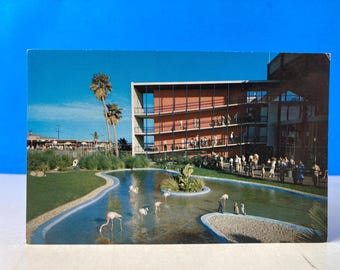 Marineland Flamingo & Penguin Pool Postcard