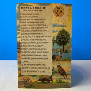 Cartão Postal Texas Um Paraíso