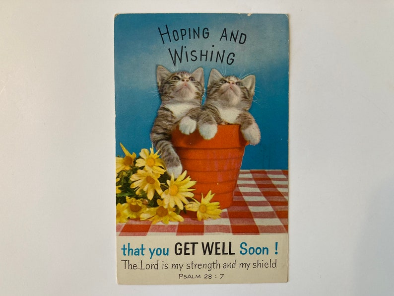 May include: Vintage get well soon card featuring two tabby kittens peeking out of a terracotta pot. The card has a blue background with the words "Hoping and Wishing" at the top and "that you GET WELL Soon!" at the bottom. Yellow daisies and a red and white checkered pattern complete the design.