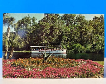 Florida's Silver Springs Jungle Cruise Postcard