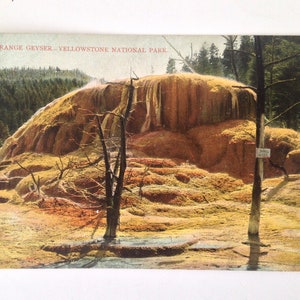 Carte postale Orange Geyser Yellowstone