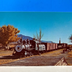 Slim Princess At Laws Railroad Museum Postcard