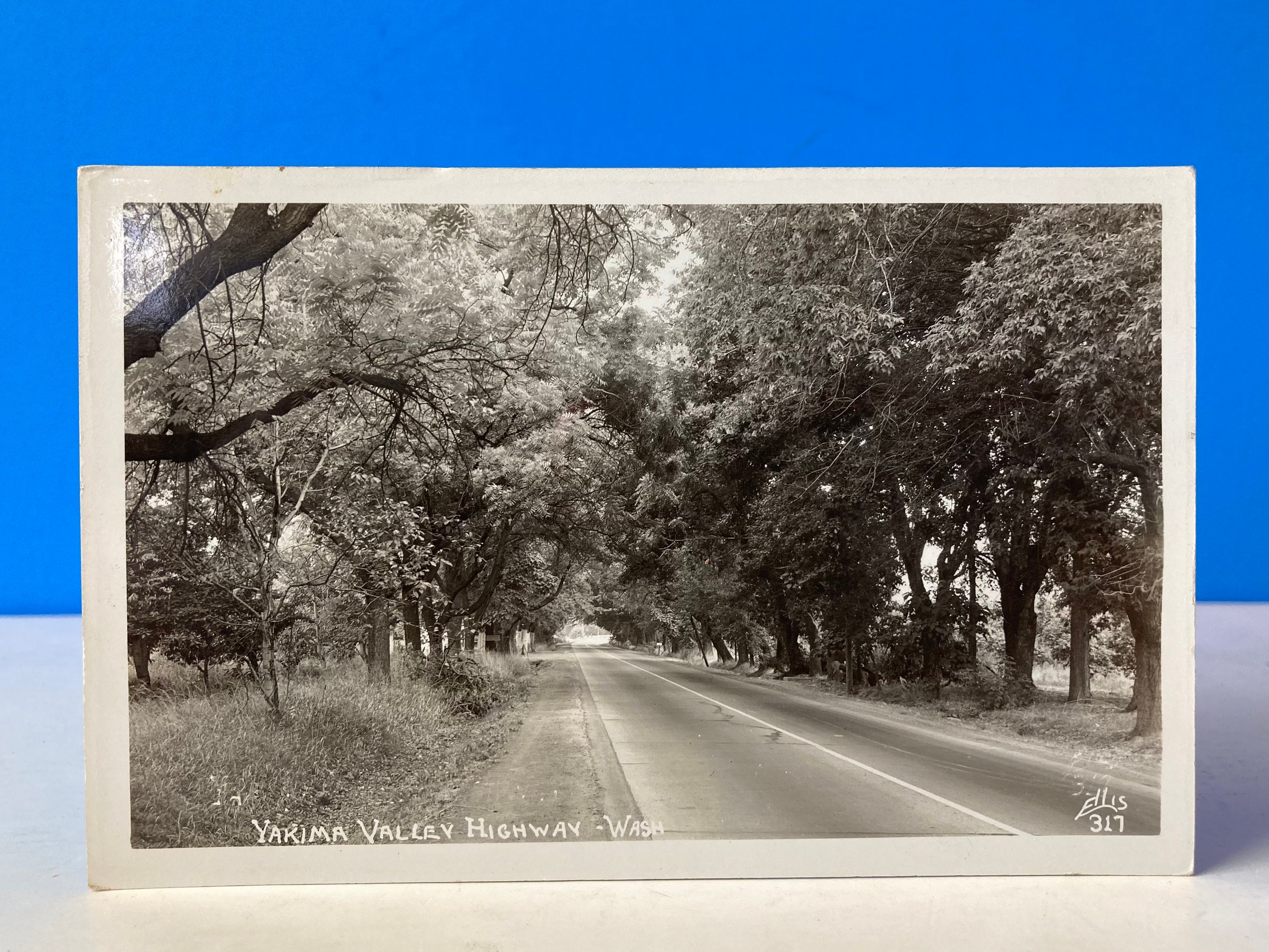 Yakima Valley Highway RPPC Postcard