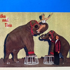 Bertha & Tina Ascuaga's Nugget Postkarte