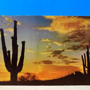 Carte Postale Chrome de coucher du soleil de désert