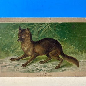 Cartão comercial da Arbuckle Bros. Coffee Company