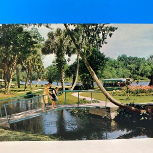 Floridas Silver Springs Park Postkarte