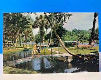 Florida's Silver Springs Park Scene Postcard