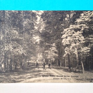 Carte postale Bridle Path