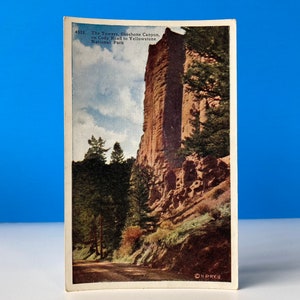 Carte postale de parc de Yellowstone de canyon de Towers Shoshone