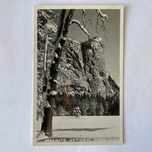 Yosemite National Park RPPC Postcard